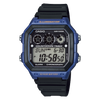 AE-1300WH-2AVDF