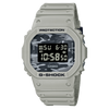 DW-5600CA-8DR