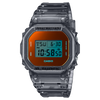 DW-5600TLS-8DR