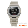 GBX-100-8DR