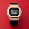 GM-S5600PG-1DR