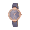 SHE-4556PGL-6AUDF