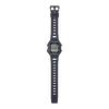 WS-B1000-1AVDF