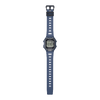 WS-B1000-2AVDF